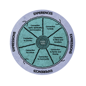 social and emotional wellbeing framework image